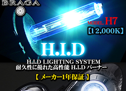 HIDバルブ　55W　12000K　【H7】